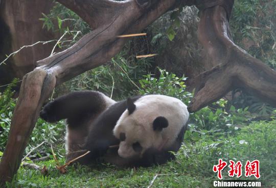 �D�顰�����������似��(c��)�L������������ �z