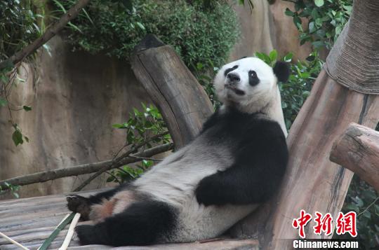 �D�顰���������ژ�����u������������ �z