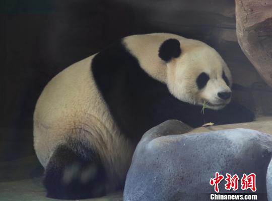 �D�顰���ա��ڴ��˯���������� �z