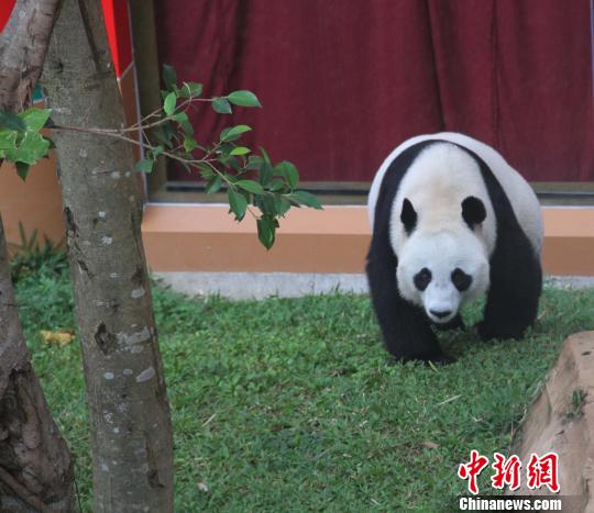 �D�顰������������ɢ������������ �z