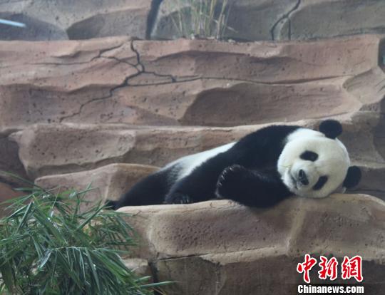 �D�鄂��ġ����ա����u�ȡ��������� �z