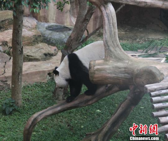 �D�顰�������ߡ���(d��)ľ������������ �z