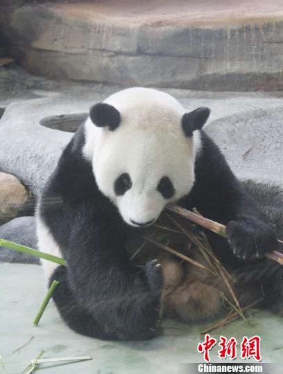 �D�顰���ա��ڳ����ӡ��������� �z