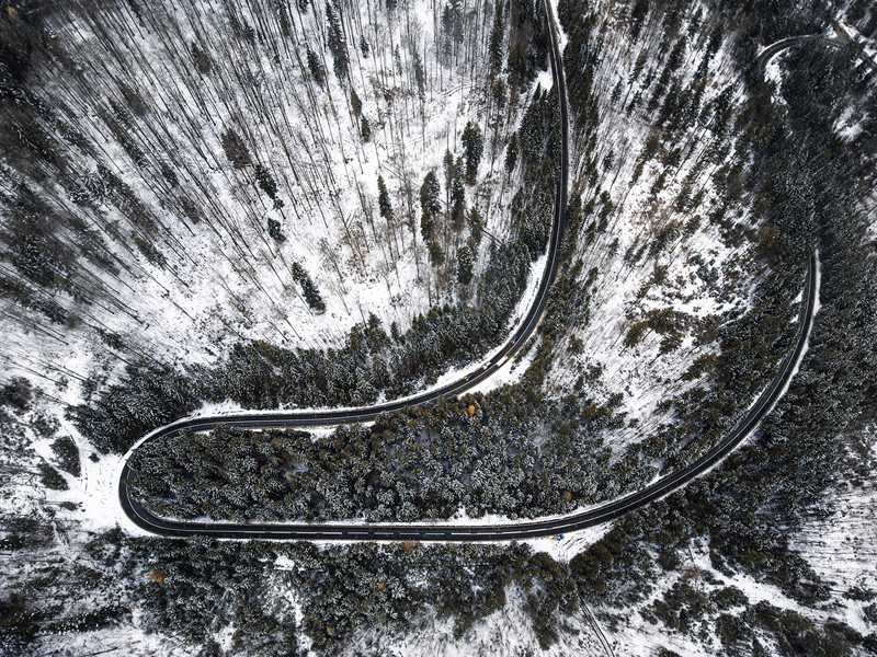 �_�R�၆�zӰ��Nicu Spinu�z�ښW�޲��ƾS�{��