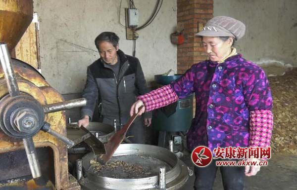 ���Ҳ��c÷�������� (3).jpg