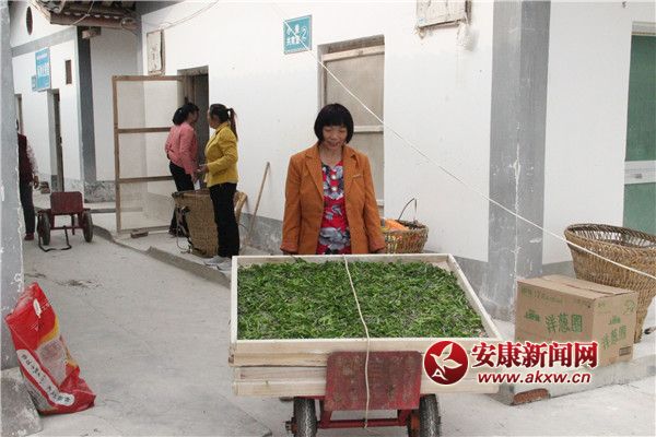 �Q�r(n��ng)��(l��i)�������簴Ʊ�I(l��ng)ȡ�Q�N����(du��)С�Q������ρ�Qٝ���^�� (2).jpg