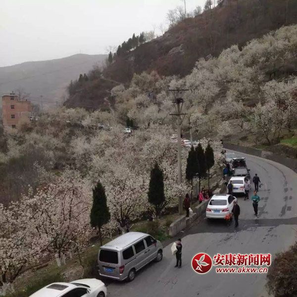 �?c��)뻨�������ܲ����?jpg