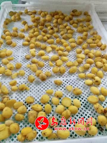 �{(di��o)����С 9.jpg