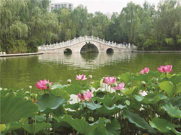  �L(f��ng)��ɏ������G���M�D��