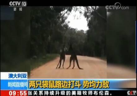 �Ĵ���·߅�򶷄�(sh��)������,���ֲ���