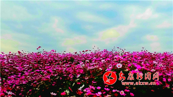 �Ɖ�(m��ng)С�(zh��n)