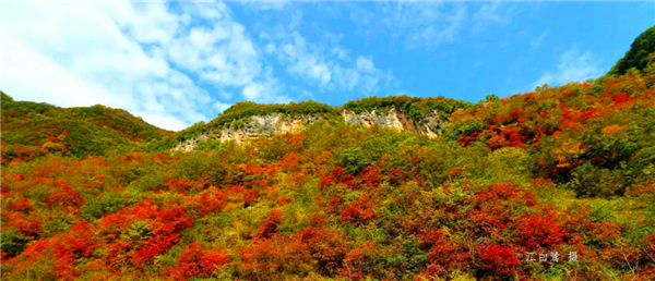 �Ĝϗ��~���t�r(sh��)