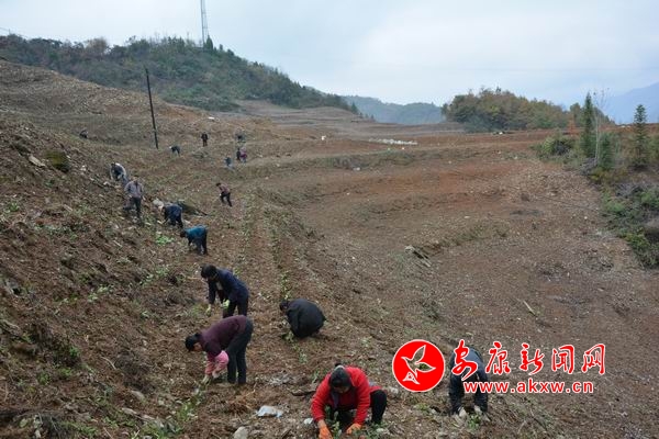 �{(di��o)����С DSC_7360.JPG