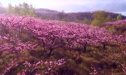 �׺ӿh���Č��Ļ����ι�(ji��)