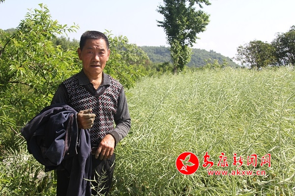 67�q�ď����F�����������e��������Ͳ������������f��ȥ�����µ�600��߀�������������u�������Լ��̓���������������̤��