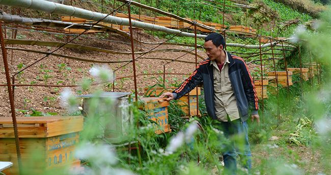 ���ڷ�ؚ���Ӯa(ch��n)�I(y��)�l(f��)չ