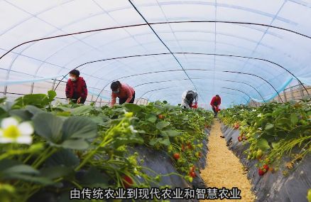 ���ڴ��� �����L