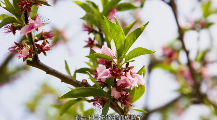 ����҈@���һ��G