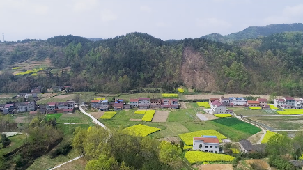 �hꎣ��P�����ﻨ�h��