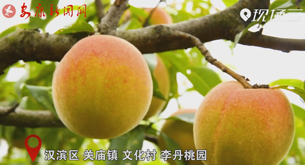 ҕ�� | ��҈@����������