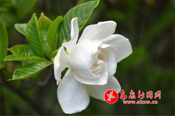 ����E��ɽ�^�^ �d�ӻ��_�MԺ��