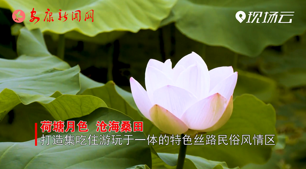 ҕ�����`�С���ɽ����Փ  �����h������