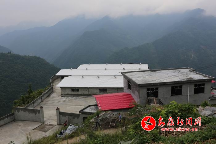 �{(di��o)����С 3K8A9932.JPG