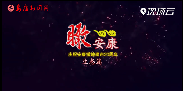 �������ؽ���20���ꡪ�����B(t��i)ƪ