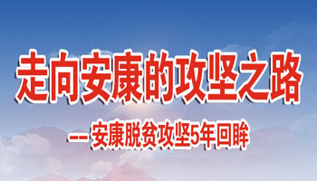 ���򰲿��Ĺ���֮·