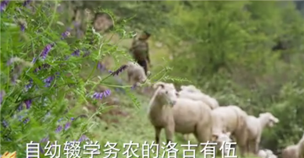 ȫ����Óؚ���ԡ���(y��u)��o�Ƭչ�����o�Ƭ��������ӛ�������������ĽY5