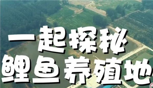 ȫ��(gu��)��Óؚ����(ji��n)����(y��u)��o(j��)�Ƭչ����ϵ�мo(j��)�Ƭ���ߴ�ֱ����Óؚ��֮��