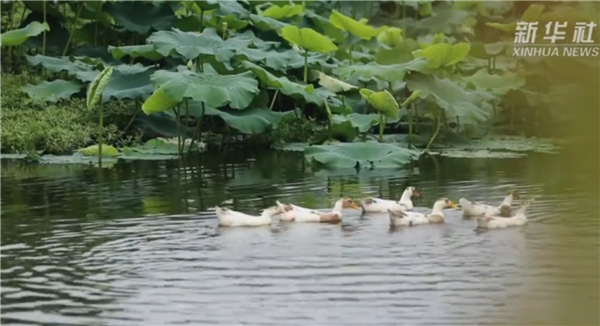 ȫ��(gu��)��Óؚ����(ji��n)����(y��u)��o(j��)�Ƭչ�����μ�ӰƬ�R�����Һ��ҵ��H�ˡ�