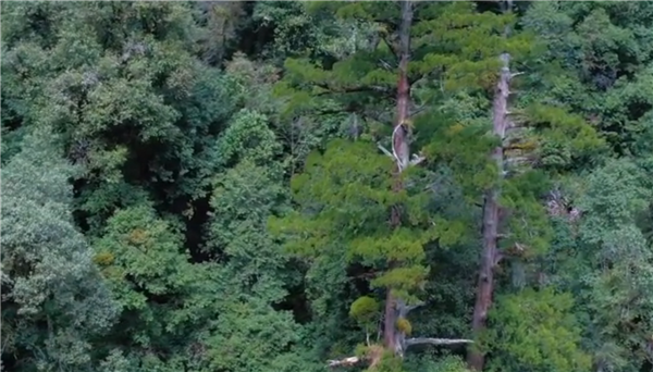 ȫ��(gu��)��Óؚ����(ji��n)����(y��u)��o(j��)�Ƭչ��������Խŭ������������ؓ(f��)��ɽ