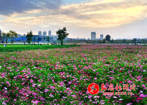 �����������ǖ|�^(q��)����ȥ