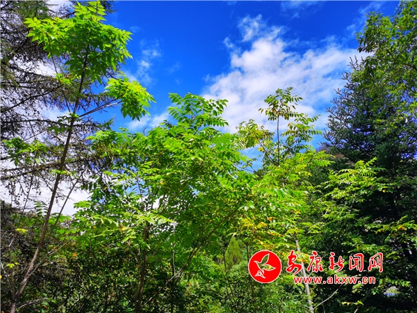 ����ɽ����