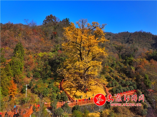 �׺ӿh�|�¹��y�Ә�ӭ������^�p��