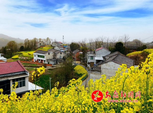 �l(xi��ng)��Խ��Խ����