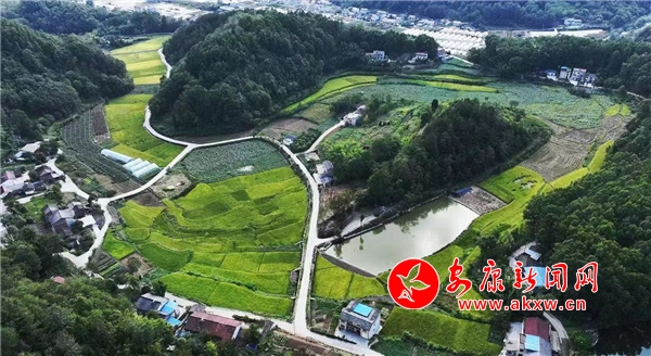 ʯȪ���l(xi��ng)�塰�ֵ�ߡ� ���á��ό�(l��i)��