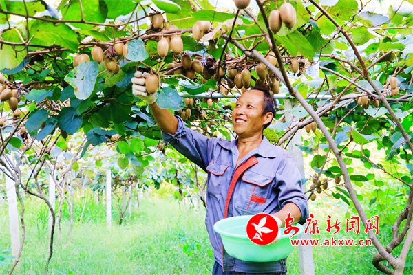 �𡰫J����(l��i)�u���^�����(zh��n)�J����ϲ�@�S��