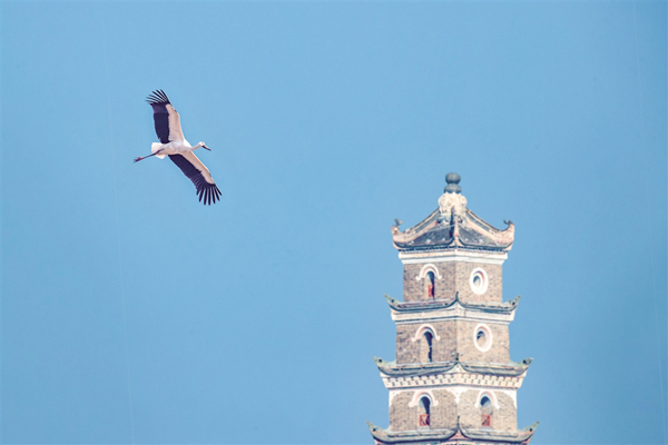 �|�����X�F(xi��n)������