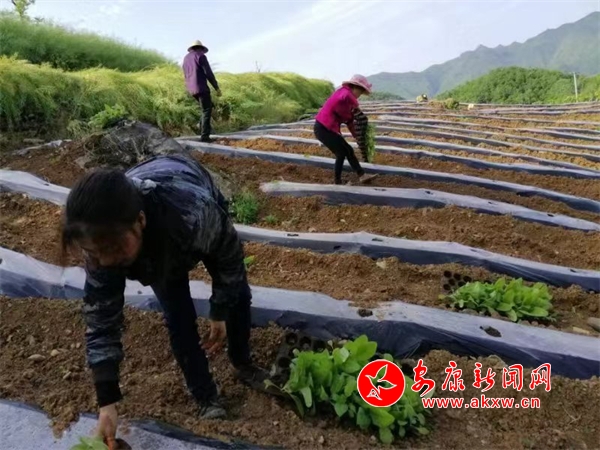 ��ƺ�(zh��n)��4000����������ȫ����_