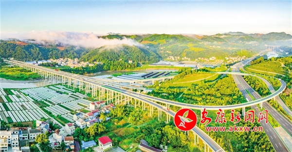 ����(m��ng)��̹; ��ͨ�L��ƪ