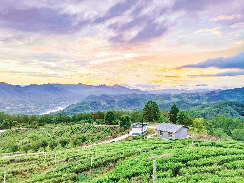 �f����@Ԓ�S��