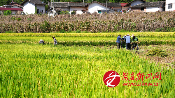 ˮ���_砹Țw�}(c��ng)