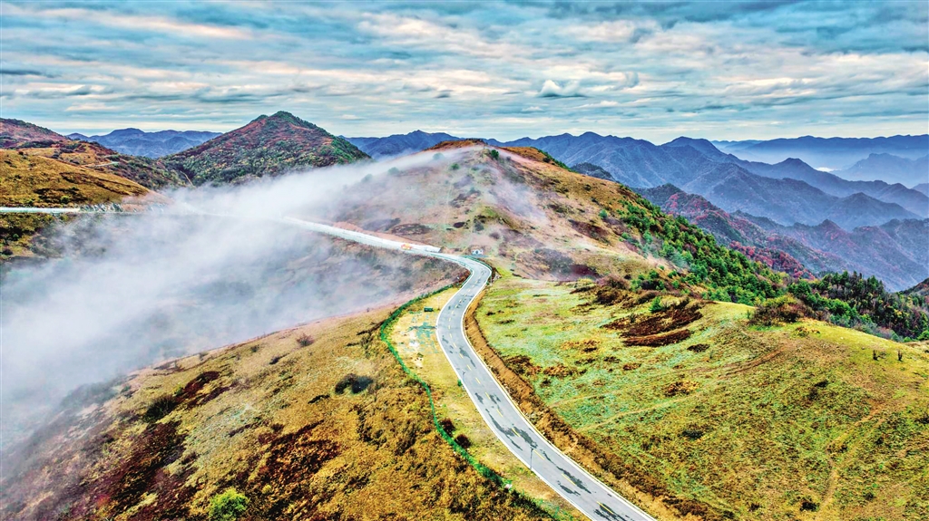 ƽ�����(y��ng)�ݵ�ɽ��