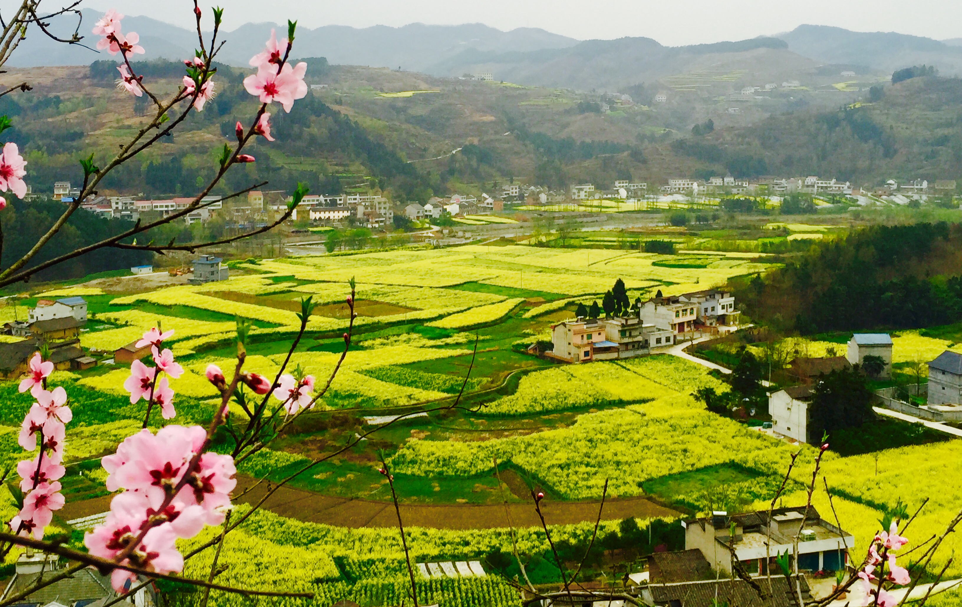 �������S����p����