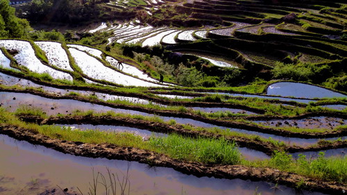 ��������(d��ng)�r(sh��)