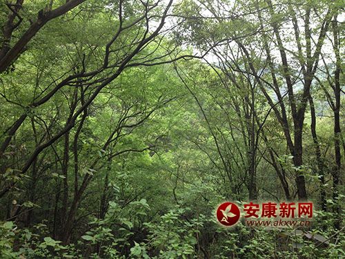 �����(l��i)��