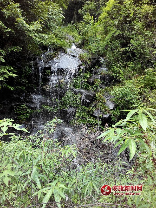 ��Ȫʯ����