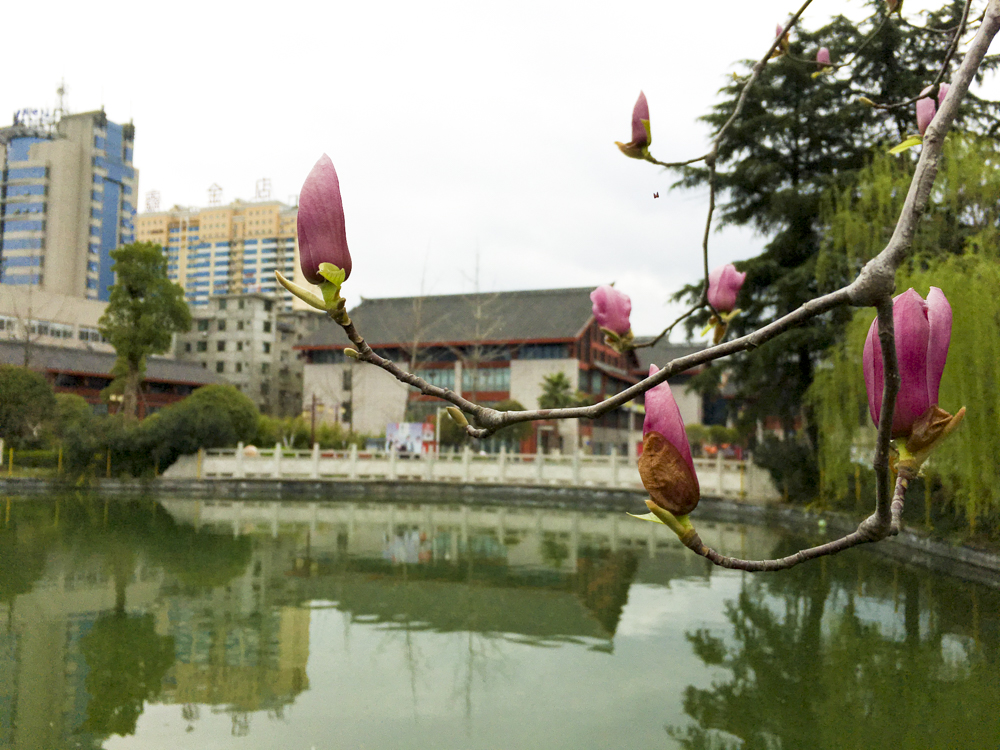 ����������������